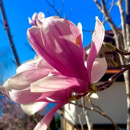 Summer Breeze Park Apartment, Santa Marina Holiday Village, Sozopol Apartment Sozopol