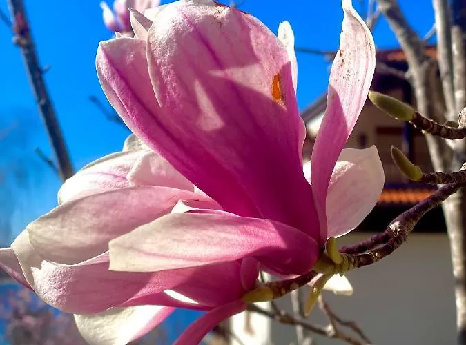 Summer Breeze Park Apartment, Santa Marina Village, Апартамент Созопол